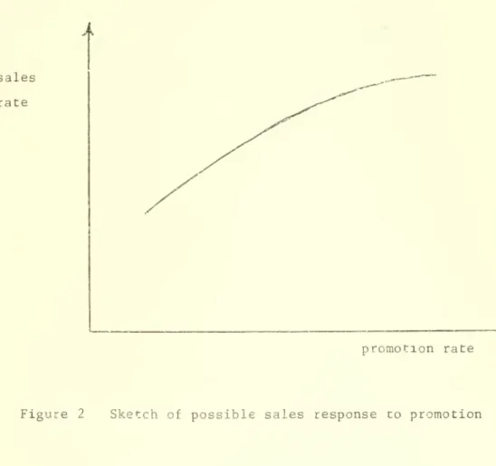 Figure 2 Sketch of possible sales response to promotion