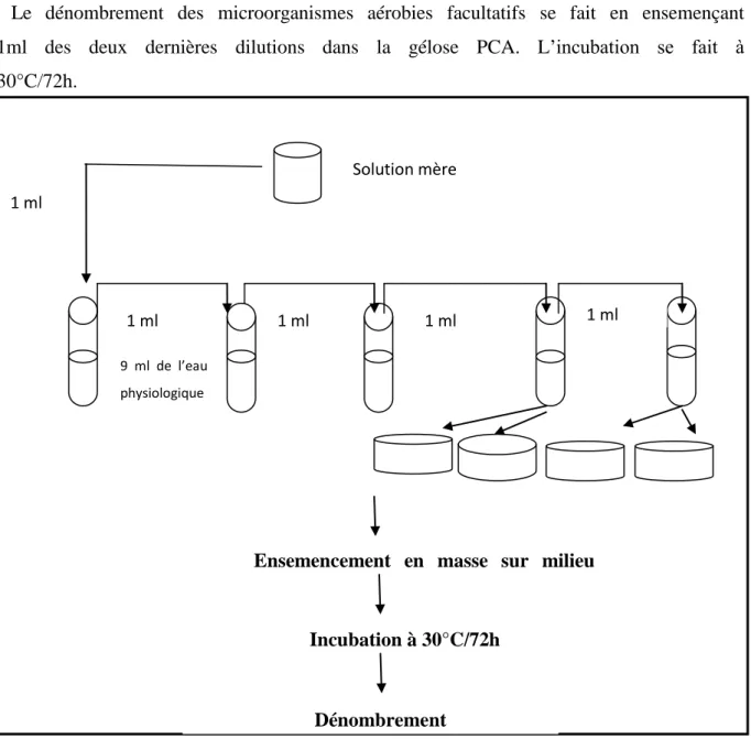 Figure 07: Dénombrement de la flore aérobie mésophile totale(FTAM)  -Recherche et dénombrement de Staphylococcus aureus  