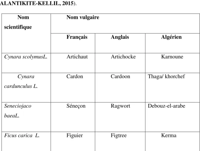 Tableau  N°03:  Plantes  locales  d’Algérie  utilisées  pour  la  coagulation  du  lait  (TALANTIKITE-KELLIL, 2015)