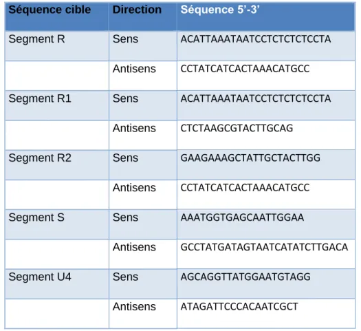 Tableau 1 : Amorces utilisées en PCR pour amplifier les régions codantes de chaque  segment 