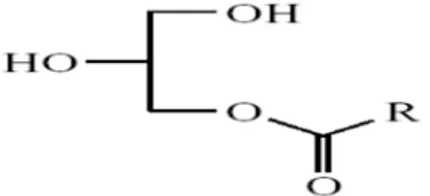 Figure 1 : β- mono glycérides                                                    figure 2 : α -mono glycérides L'ester asymétrique est chiral, Il y a deux énantiomères selon que le groupe de l'acyle est dans  le sn-1 c’est à dire la position α ou sn-3 c’es