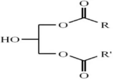 Figure  3: α, α’- di glycérides                                                       Figure 4: α, β- diglycérides