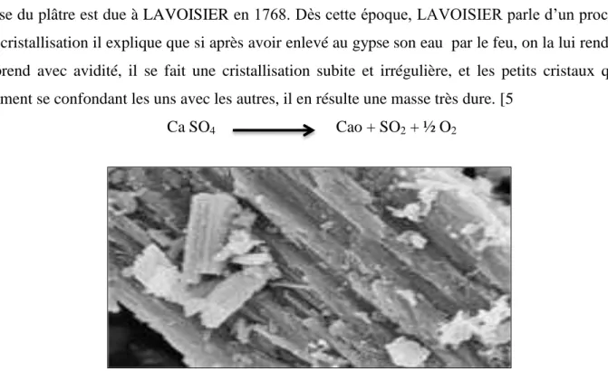 Figure I.6 : Photo prise au MEB de forme d’hémi hydrate β (5µm).