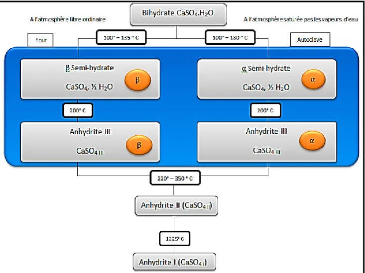 Figure I.8: schéma de la déshydratation