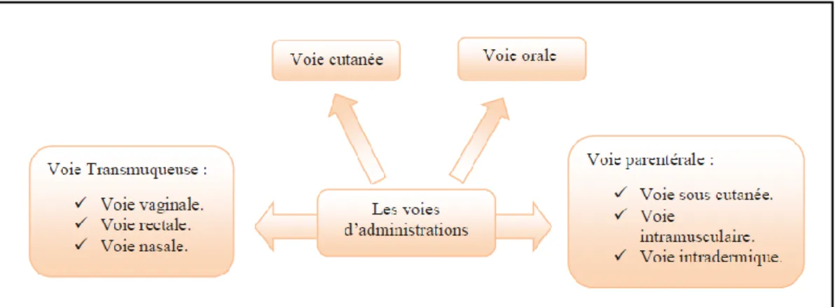 Figure I.2 : Voies d’administration des médicaments 