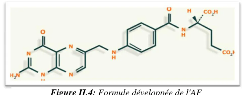 Figure II.4: Formule développée de l'AF