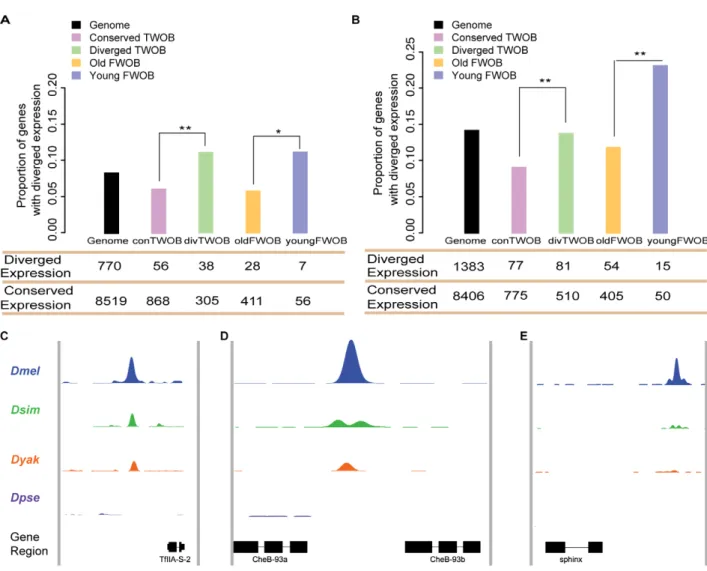 Figure 4. Functional consequences of CTCF binding evolution. (A–B) CTCF binding evolution is associated with gene expression evolution.