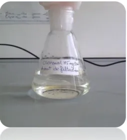Figure III.4 : Mélange final (Clofenal 75mg/3ml) 