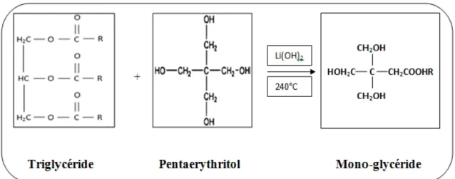 Figure  I 10:Réaction  de formation  la  mono-glycéride  -  Analyse de la mono  glycéride 