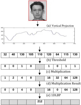 Figure 6.   Example of vertical projection in 1D space + 1DLBP application. 