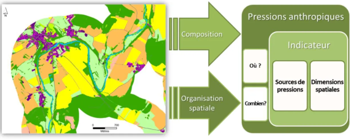 Figure 1 : Cartographie fine d'occupation du sol pour le calcul d'indicateurs de pressions diffuses 