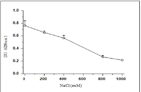 Figure 03 : Effet du sel (NaCl) sur la croissance de la souche E. 