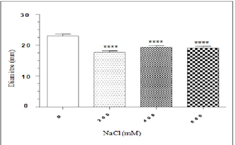 Figure  04  :  Action  de  la  Gentamycine  sur  la  souche  E.  coli  ATCC  25922  en  absence  et  en  présence  de  stress  salin  (NaCl)  appliqué  directement au milieu MH