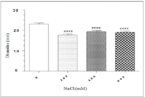 Figure  05  :  Action  de  la  Gentamycine  sur  la  souche  E.  coli  ATCC  25922  en  absence  et  en  présence  de  stress  salin  (NaCl)  appliqué de façon précoce sur la culture bactérienne destinée à la  réalisation  de  l’antibiogramme
