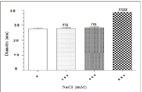 Figure  07  :  Action  de  l’acide  nalidixique  sur  la  souche  E.  coli  ATCC  25922  en  absence  et  en  présence  de  stress  salin  (NaCl)  appliqué directement  au  milieu MH