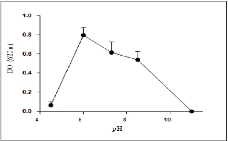 Figure 11 : Tolérance de la souche E. coli ATCC 25922 au pH.     