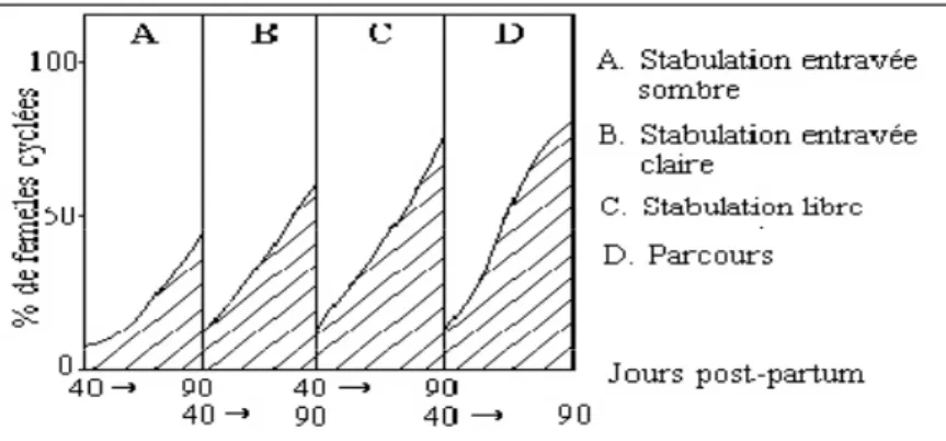 Figure 3: influence du mode de stabulation sur l’apparition de la cyclicité (AGUER ET AL,  1982)