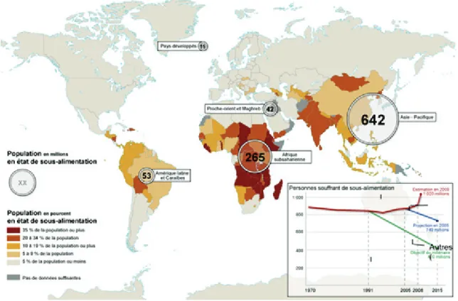 Figure 1.5. Répartition inégale de la population sous-alimentée (© Organisation des Nations Unies  pour l’alimentation et l’agriculture, 2009)