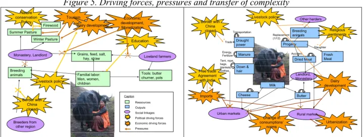 Figure 5. Driving forces, pressures and transfer of complexity 