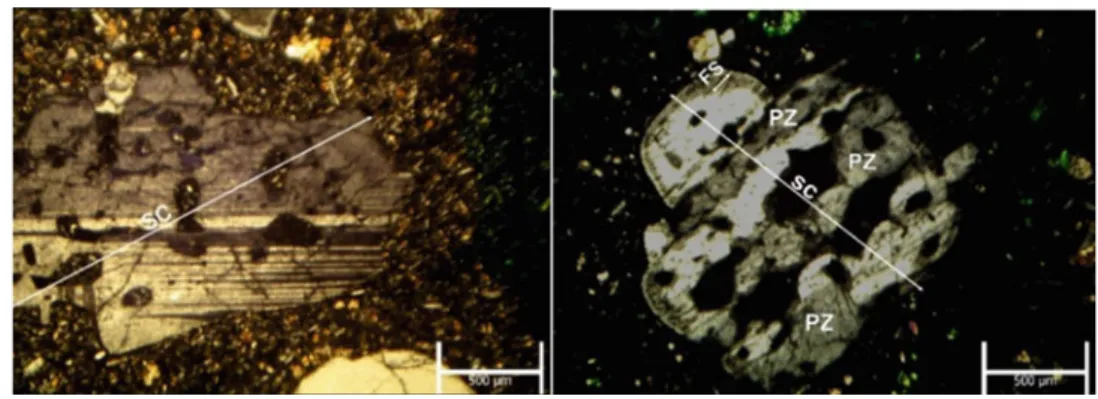 Fig. 3 Fine sieve (FS), patch zoning (PZ) and spongy cellular (SC) textures in plagioclase phenocrysts as drawn from the Karap ı nar calc-alkaline basalts