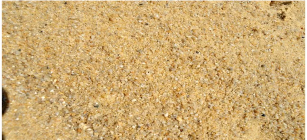 Tableau .10 : Analyse granulométrique de sable de alluvionnaire (SA) 