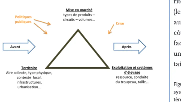 Figure 2. Les relations filières / territoires / systèmes d’élevage vues comme un  sys-tème.
