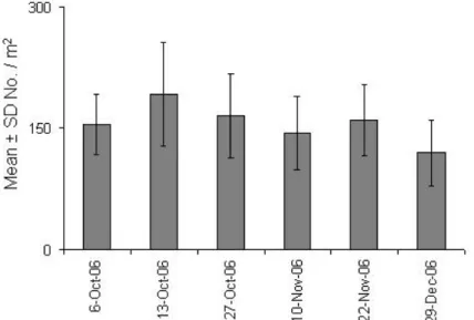 FIGURE 11.  Mean shoot density (#/m 2 ) in tank from October to December 2006. 