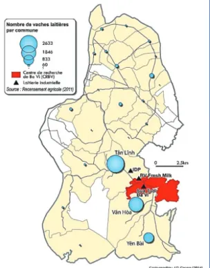 Figure 4. Répartition des densités de bovins laitiers dans le district de Ba Vì. 80 % de la production  lai-tière est réalisée par trois communes (cartographie J.D