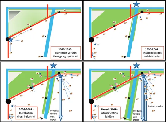 Figure 7. Trajectoire du bassin laitier de la basse vallée du fleuve Sénégal. Cette figure montre l’intensification  en quatre phases du bassin laitier