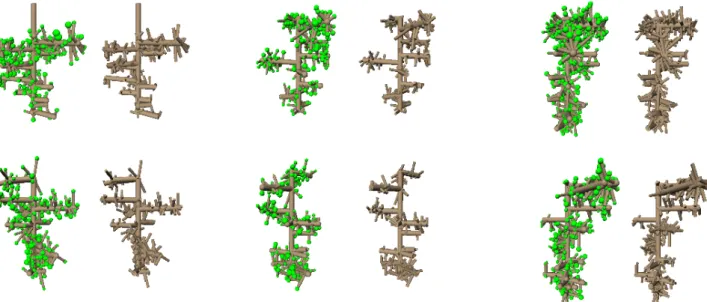 Figure 2:  Six example runs of the RGG-model. For each run we show the generated grape cluster with and without  flowers