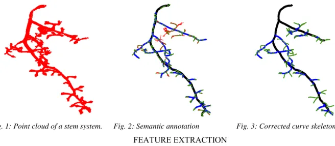 Fig. 1: Point cloud of a stem system.  Fig. 2: Semantic annotation  Fig. 3: Corrected curve skeleton.