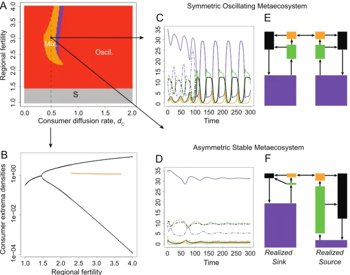 Figure 4: Multiple equilibria with intermediate consumer diffusion rates and high enrichment levels in homogeneous metaecosystems