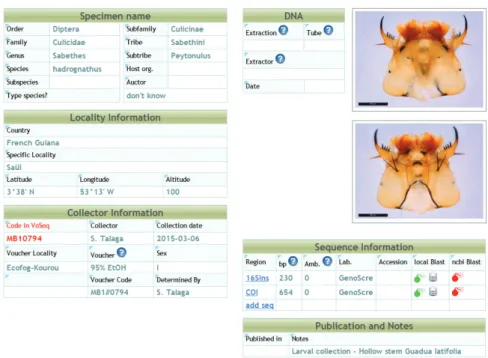 Figure 3. Sample data entry of our online database (http://mosquitoes.ups-tlse.fr with restricted access)  holding the “Mosquitoes of French Guiana” dataset.