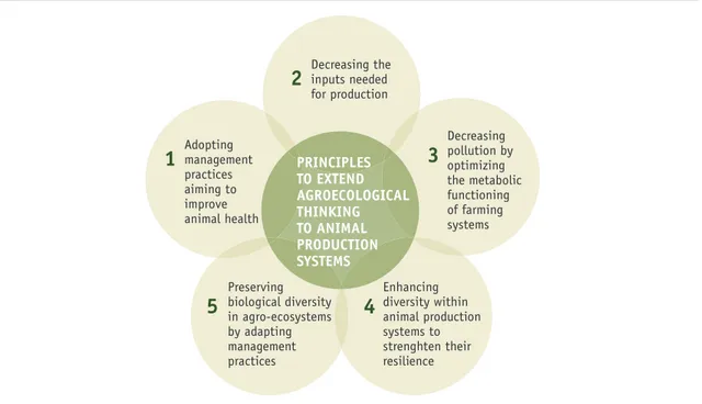 Figure 1. Five ecological principles for the redesign of animal production systems