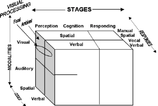 Figure 2-1: 4-D Multiple Resource Theory model, reproduced from [8].