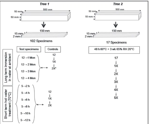 Figure 1.  Schematic illustration of sample geometry and treatments used in this study