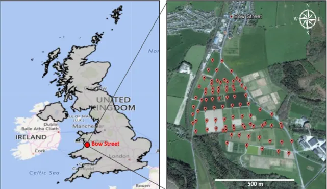 Figure 1. Geographical position of the study area and locations of the 85 sampling points