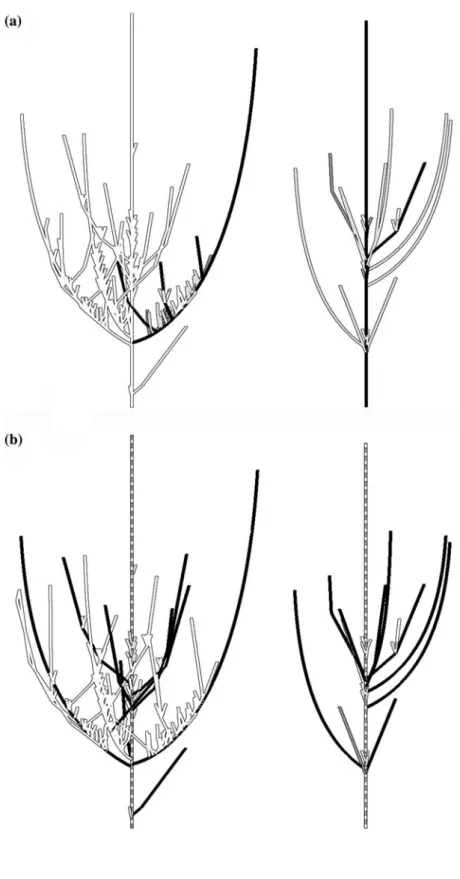 Fig. 2 Schematic representation of an unordered comparison of a pair of trees, (a) without axes attributes, and (b) with length class accounted as attributes in the comparison.