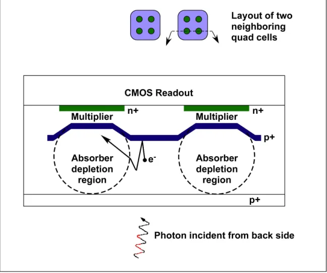 Figure 2. Cross section through two neighboring high-fill-factor APDs within a quad cell