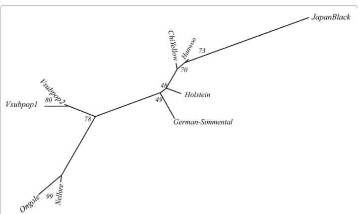 Figure 3 Neighbour-joining tree of the 7 taurine and indicine breeds, and the two M'Hong subpopulations, based on DR distances and es- es-tablished with 1000 bootstraps on the loci (eight common microsatellites)