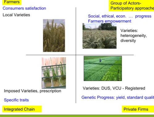 Figure 4. Four models of diversification of agriculture  