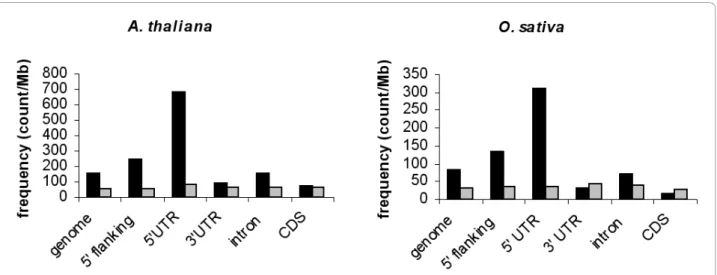 Figure 3 Distribution of telo boxes in different genomic regions in Arabidopsis and O 