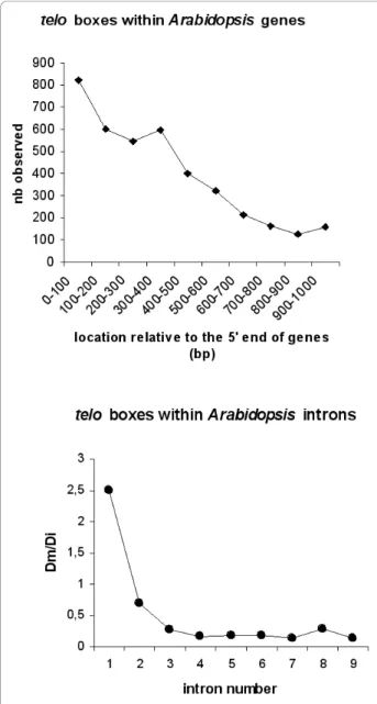 Figure 5 Statistical distribution of motifs in the 5 ’ flanking regions of O . sativa ribosomal protein genes
