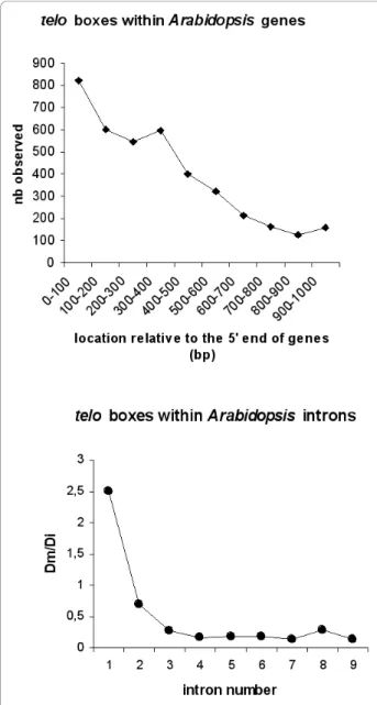 Figure 5 Statistical distribution of motifs in the 5 ’ flanking regions of O . sativa ribosomal protein genes