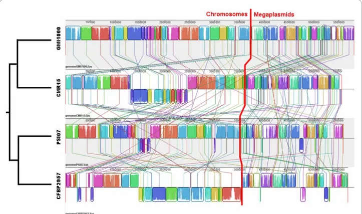 Figure 3 Multiple genome alignment for strains GMI1000, CMR15, PSI07 and CFBP2957. Fine colored lines represent rearrangements or inver- inver-sions relative to the GMI1000 genome