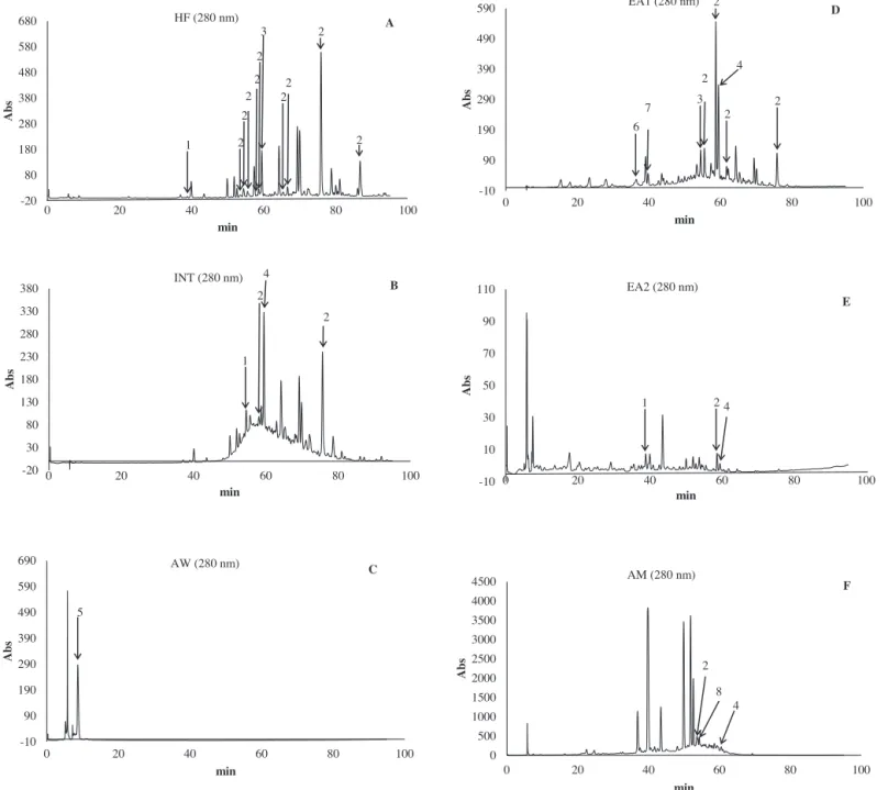 Fig. 3. Identiﬁcation of selected individual phenolic compounds and anthraquinones as a group of phenolic compounds in different fractions of extract i.e