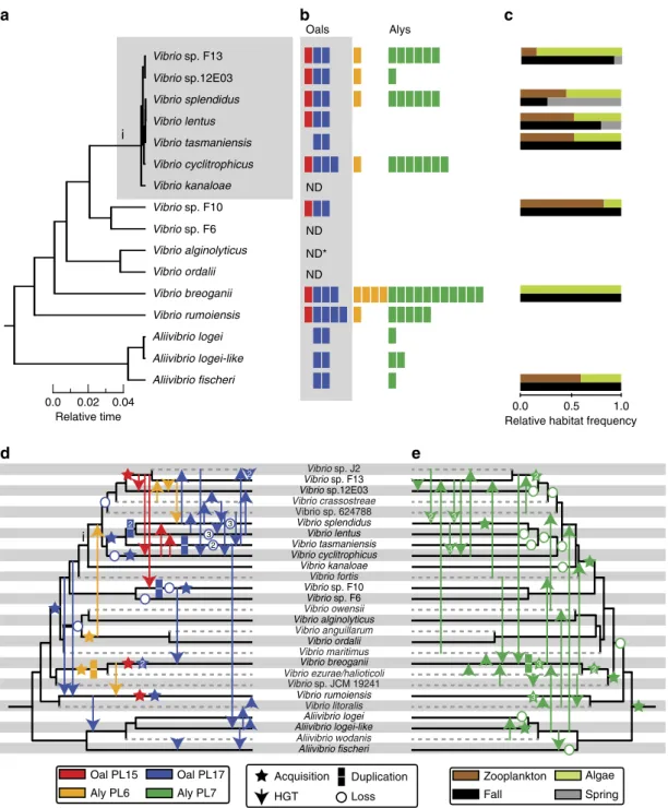 Figure 1 | Evolutionary history and ecological occurrence of alginate lyases. (a) Relative timed maximum-likelihood phylogeny of Vibrionaceae populations co-occurring in the same water samples