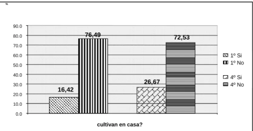 Gráfico  Nº1:  Porcentaje  de  hogares  de  niños  de  1º  y  4º  año  que  cultivan  alguna  hortaliza  (Fuente: 