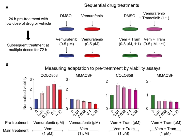 Figure 3. Sequential drug treatments reveal adaptive resistance to RAF and MEK inhibitors.
