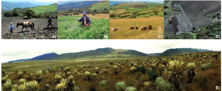 FIGURE 1 (A) Small-scale farmers planting potatoes; (B) a farmer spraying a potato field;